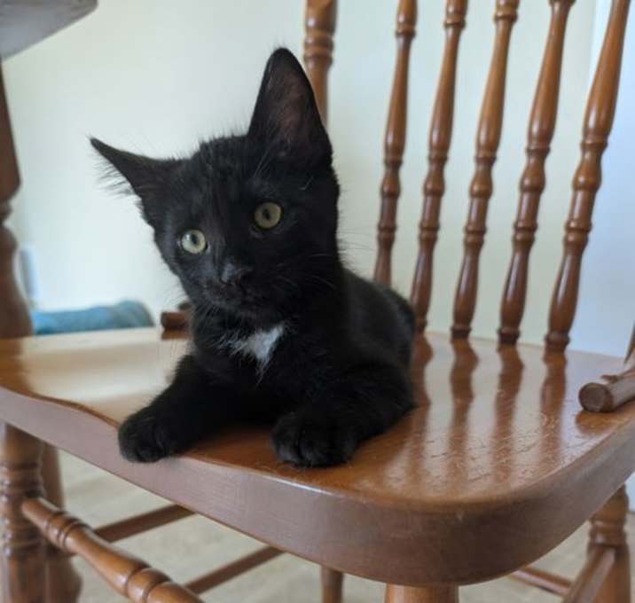 Photo of Batman