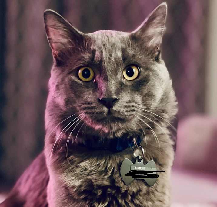 Photo of Simon