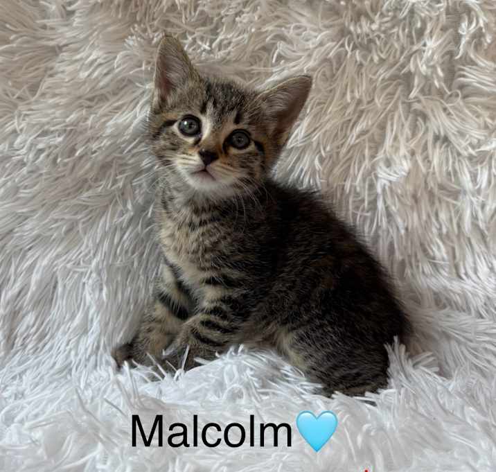 Photo of Malcolm