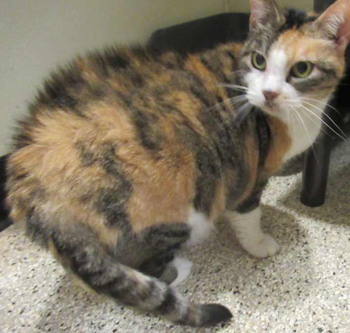 Photo of Molly