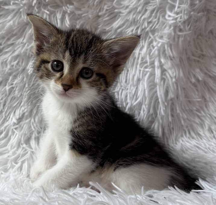 Photo of Matilda