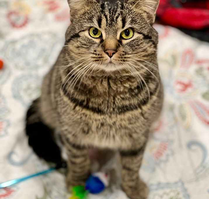 Photo of Buddy