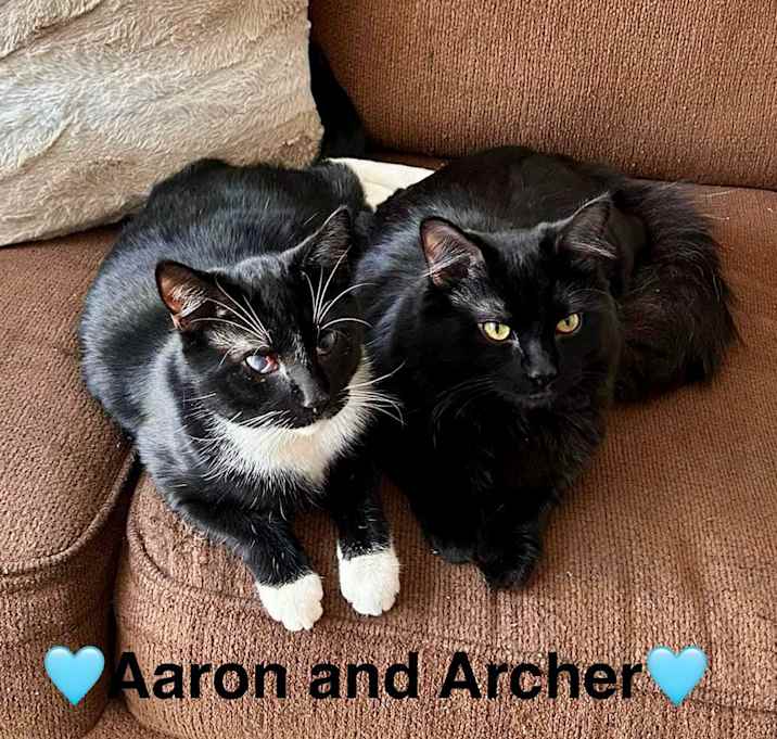 Photo of Aaron and Archer