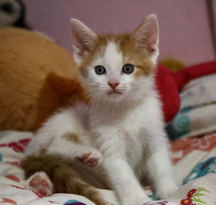 Photo of Sugar