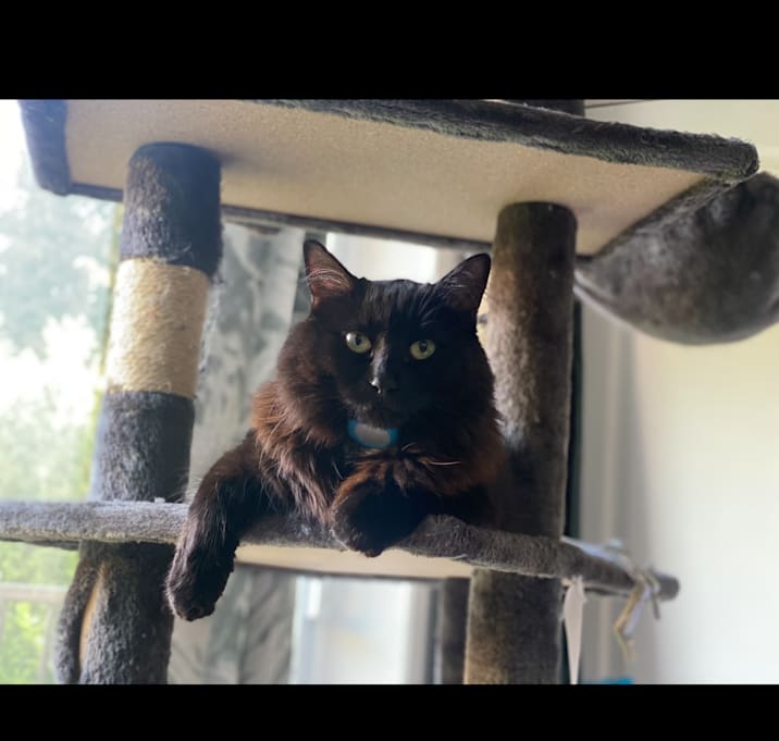 Photo of Nyla
