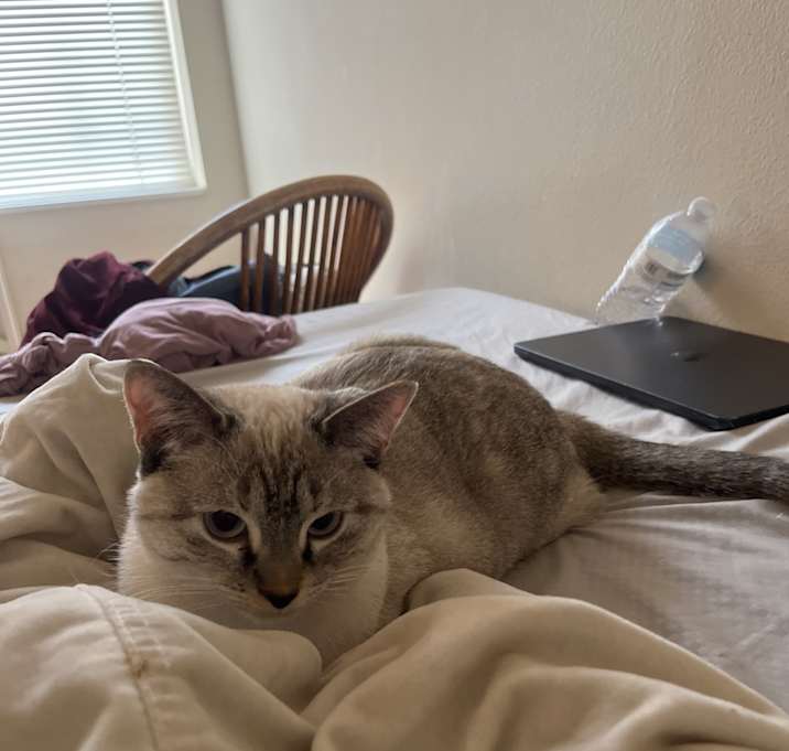 Photo of lola