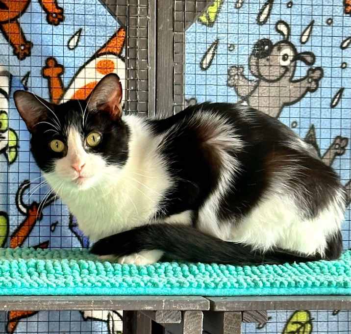 Photo of Lily Pad
