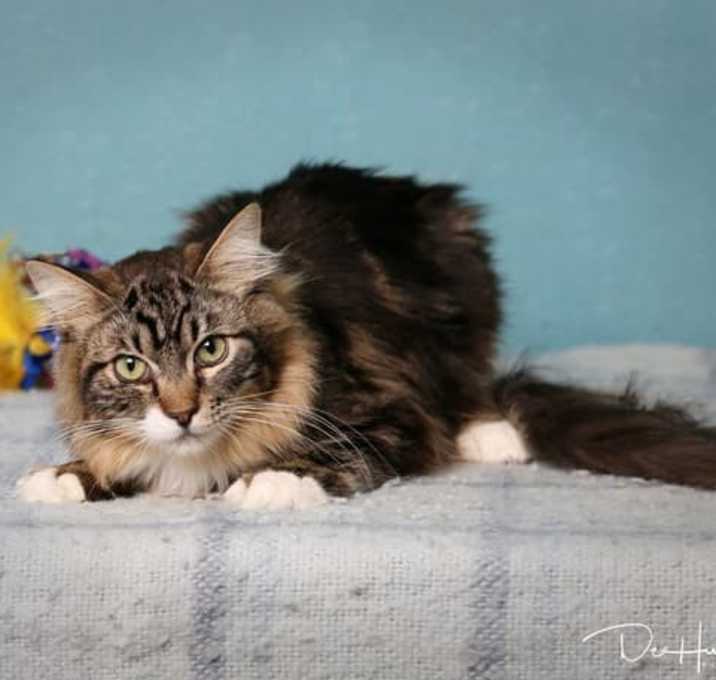 Photo of Mama