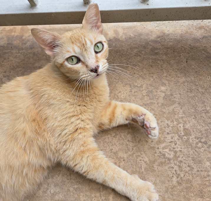 Photo of Baby Girl