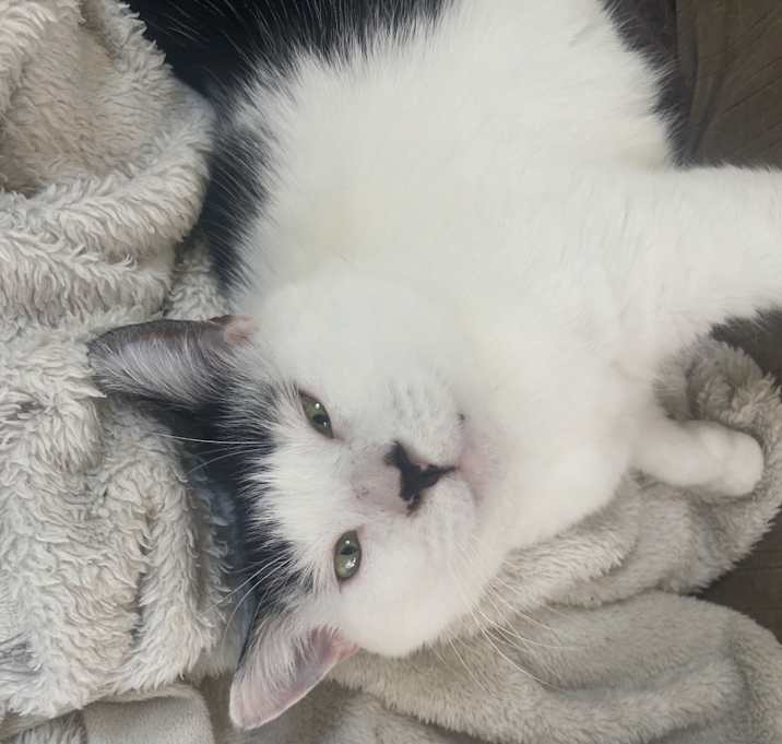 Photo of Harriet