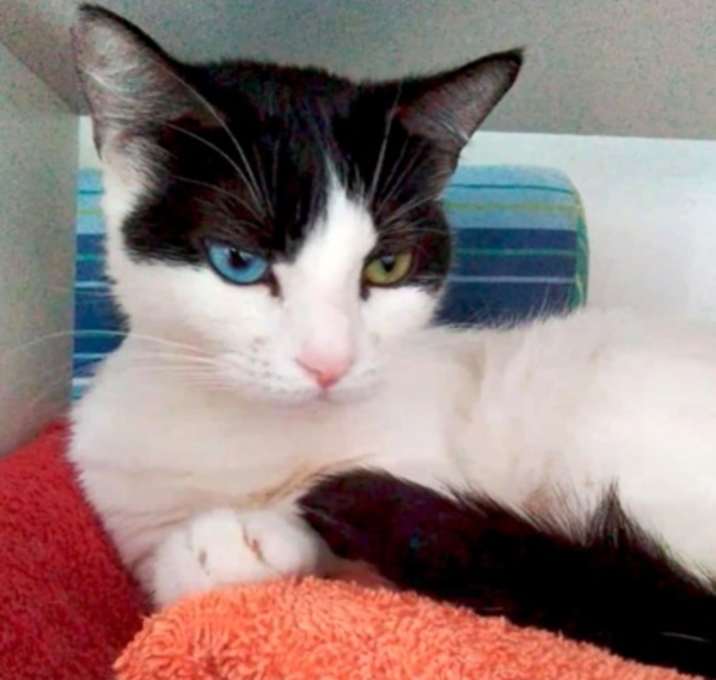 Photo of Bijoux