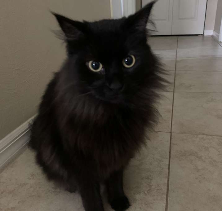 Photo of Krasher