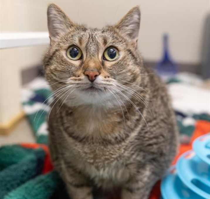 Photo of MIMI