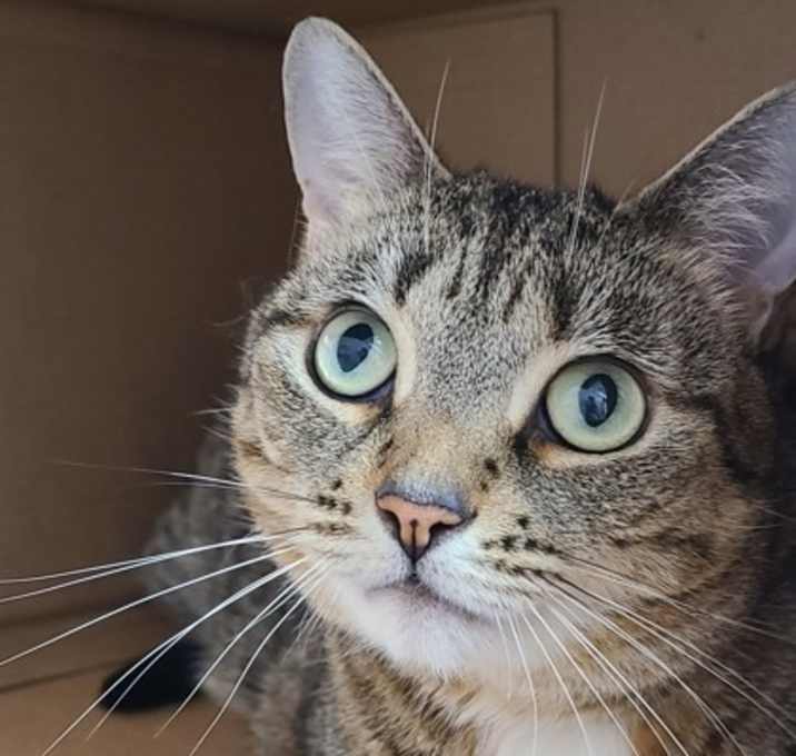 Photo of Sophie