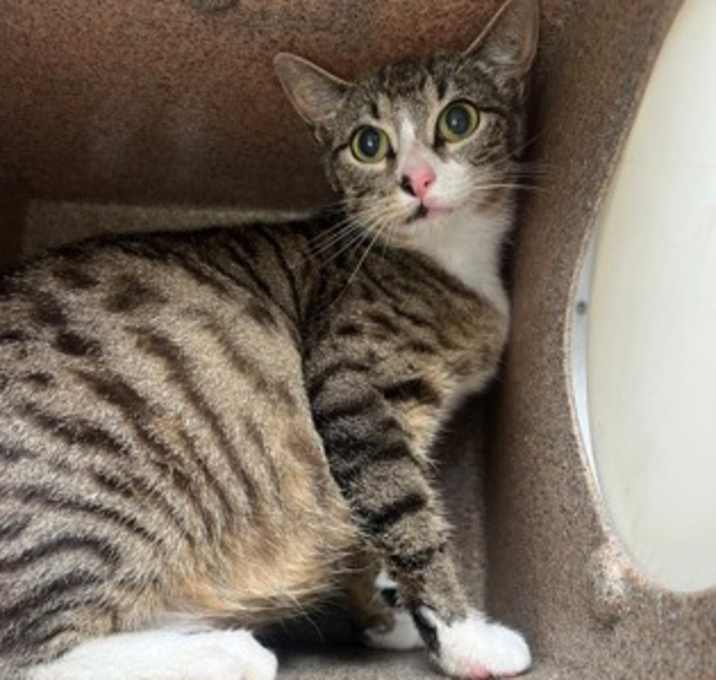 Photo of TNR 3000 Margo Dr