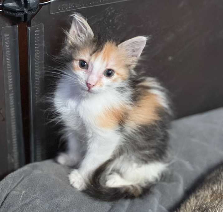 Photo of Thelma
