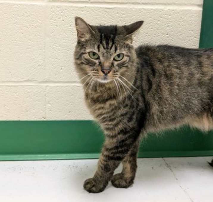 Photo of Maximus