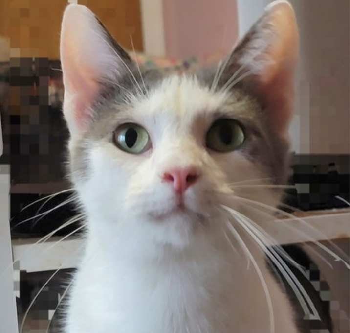 Photo of Carl