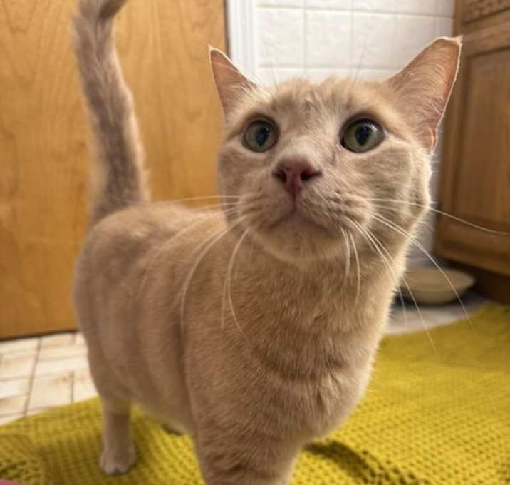 Photo of Zeus