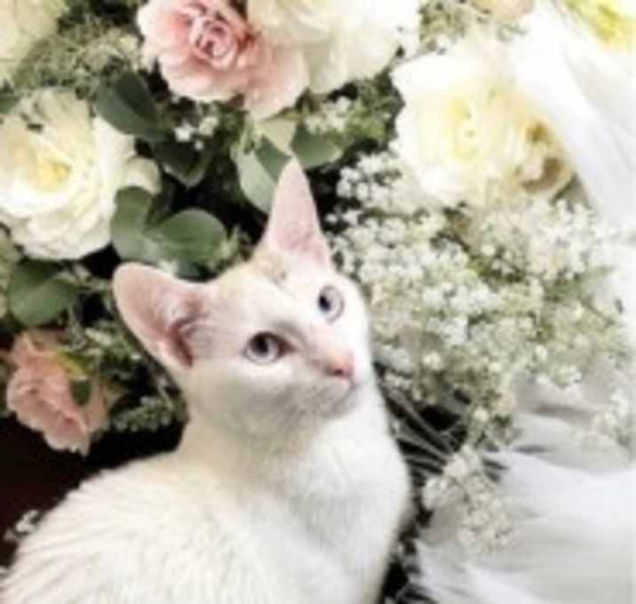 Photo of Meghan 124458