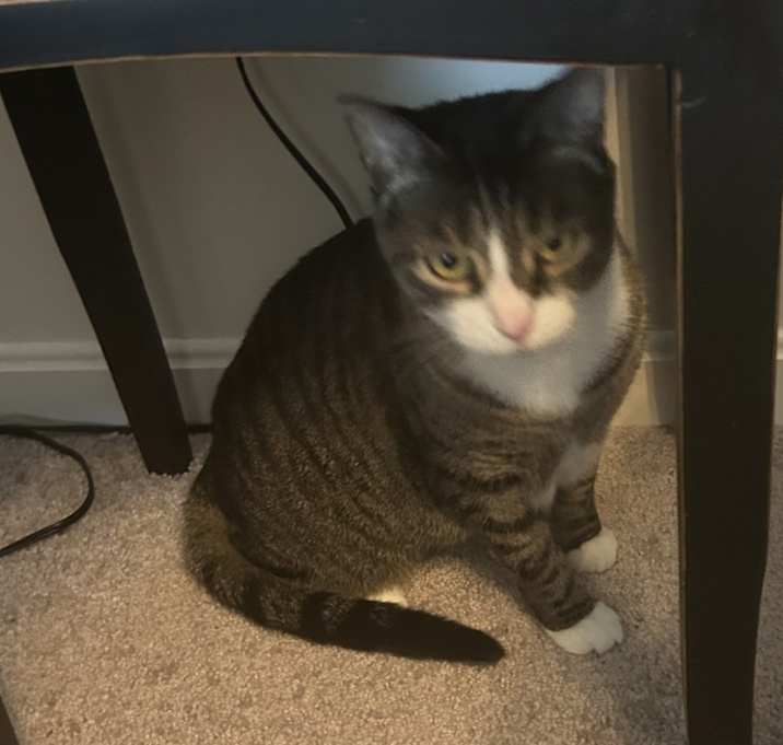 Photo of Lucy