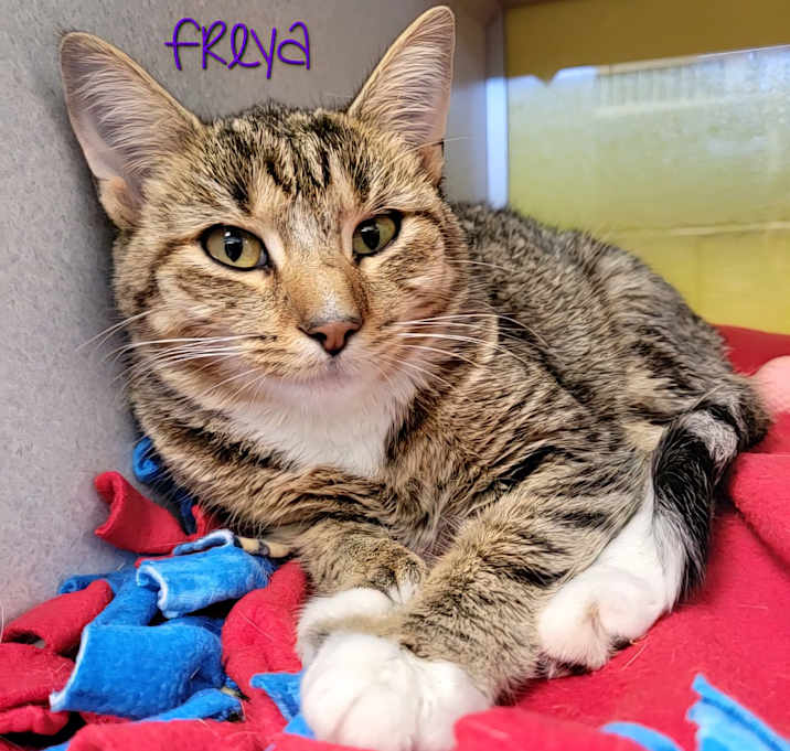 Photo of Freya 