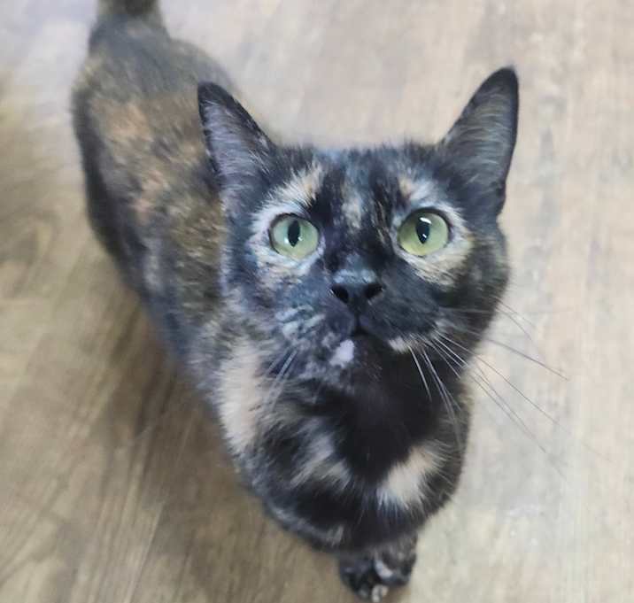 Photo of Twix