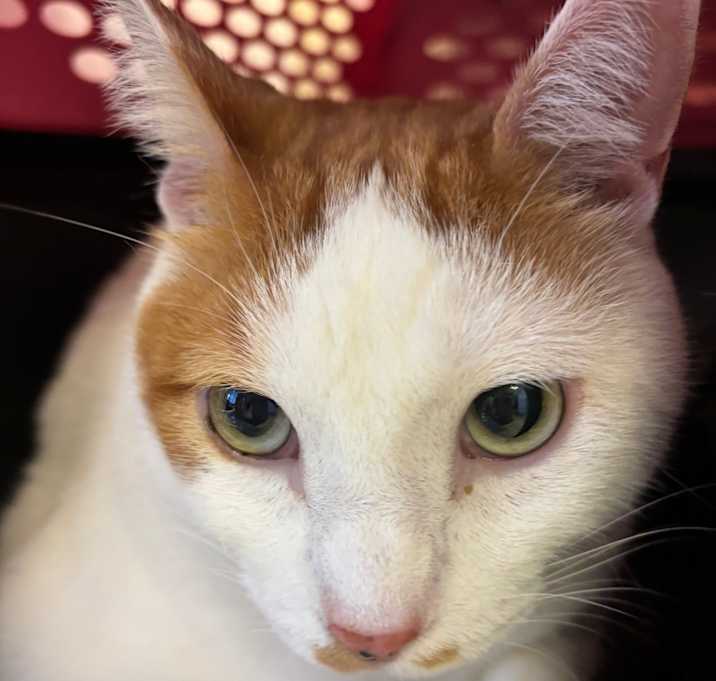 Photo of Charlie