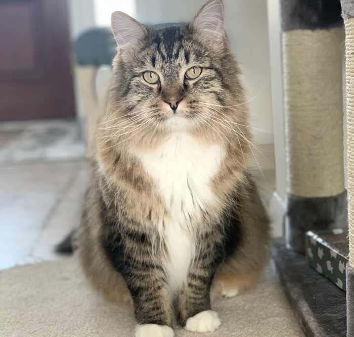 Photo of Bubba