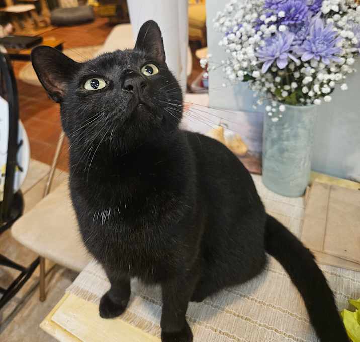 Photo of Oliver
