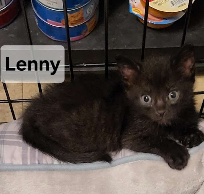 Photo of Lenny Wright