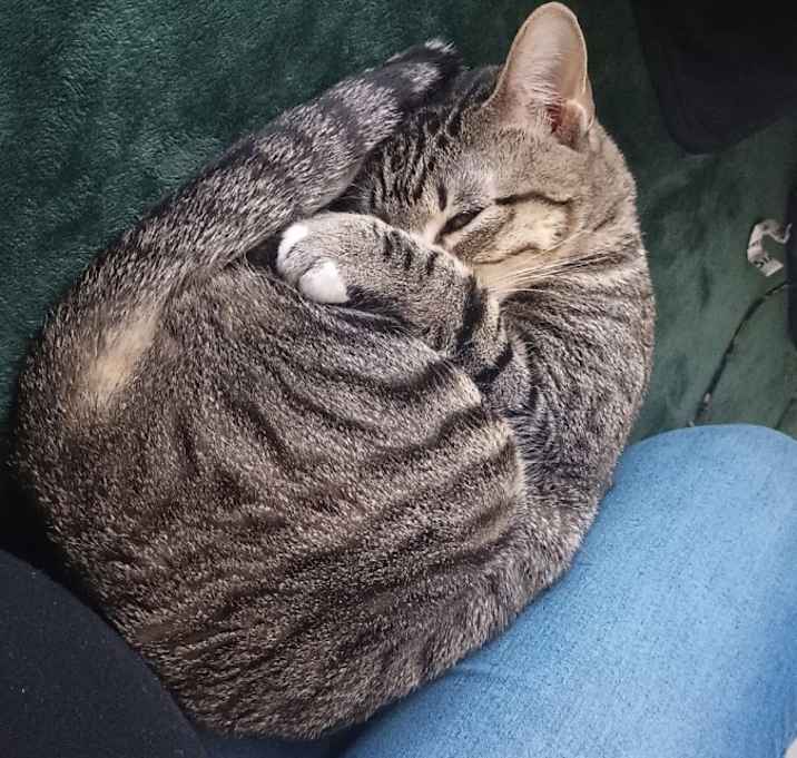 Photo of Lily