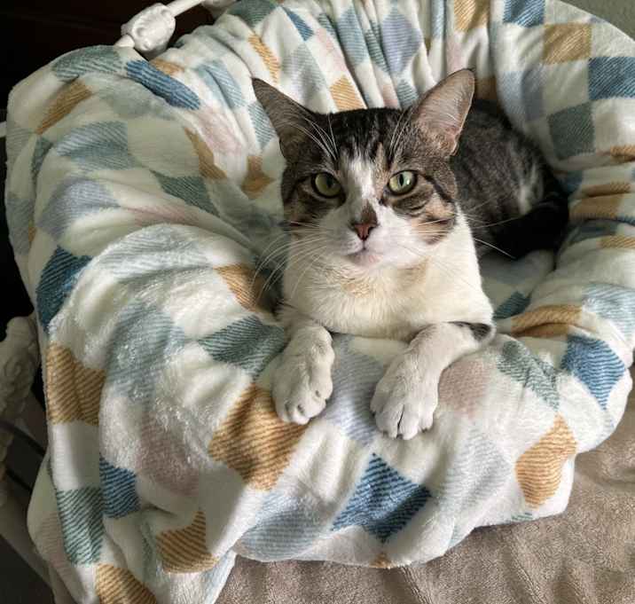 Photo of Kramer