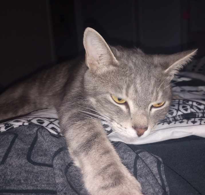 Photo of Lala