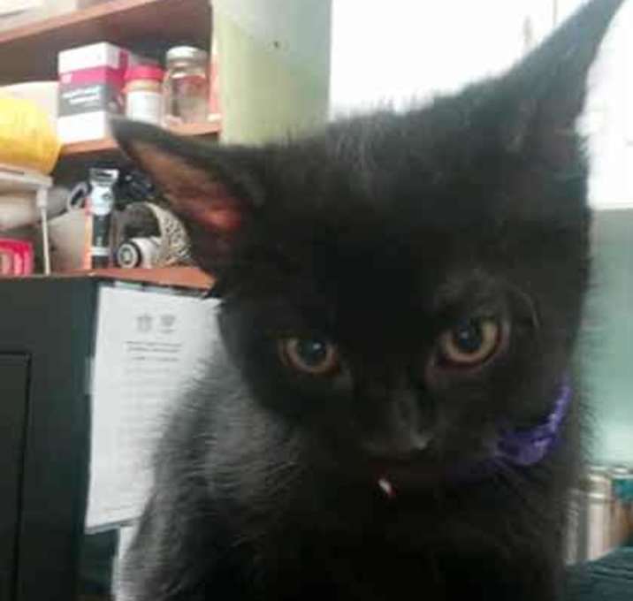 Photo of Baby Ruth