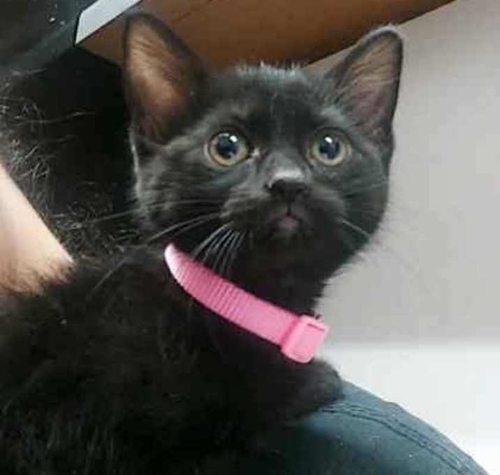 Photo of Twix