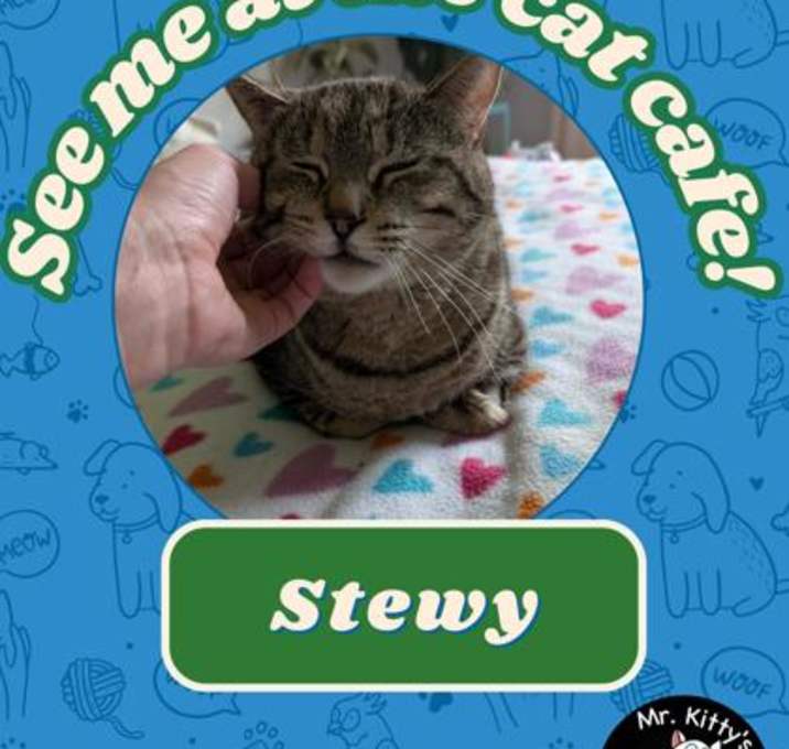Photo of Stewy