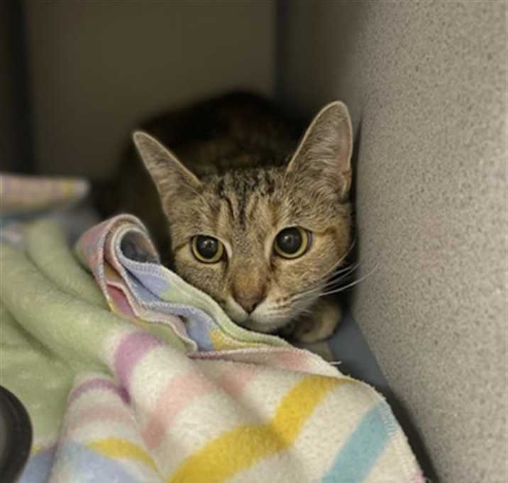Photo of SNICKERS