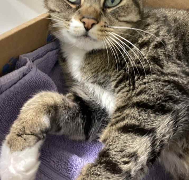Photo of Wiley