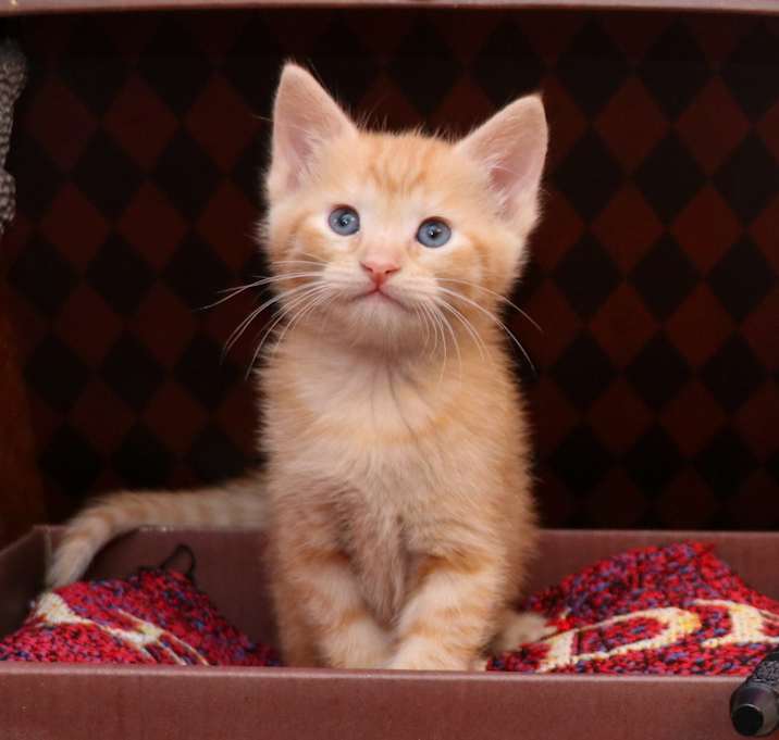 Photo of Ron