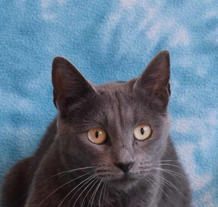 Photo of Eve