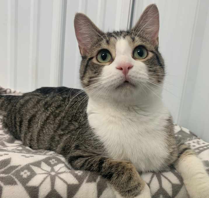 Photo of Archie