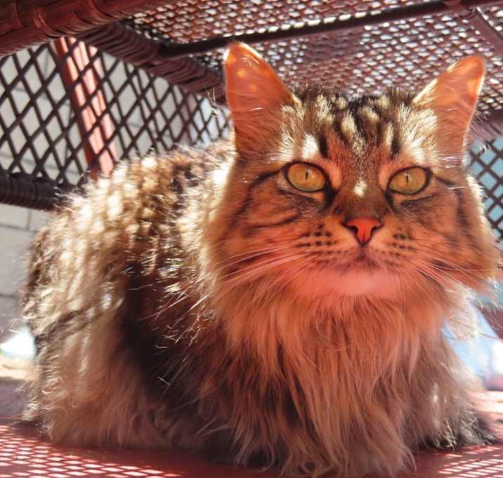 Photo of Mia