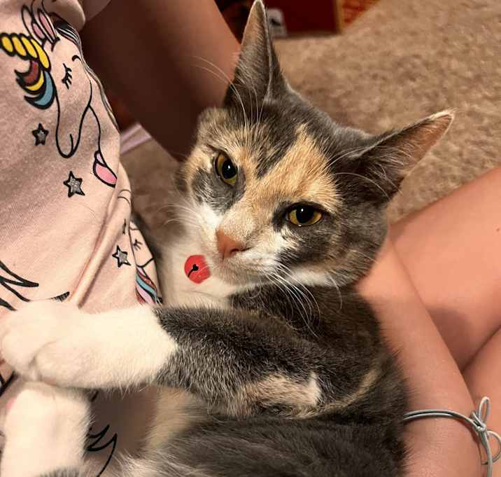 Photo of Chloe