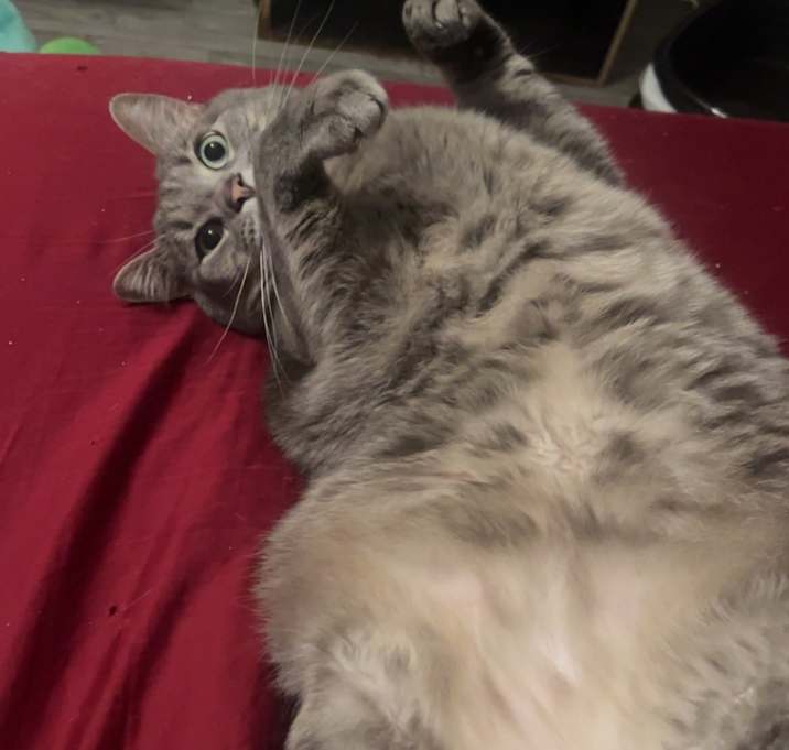 Photo of Spud
