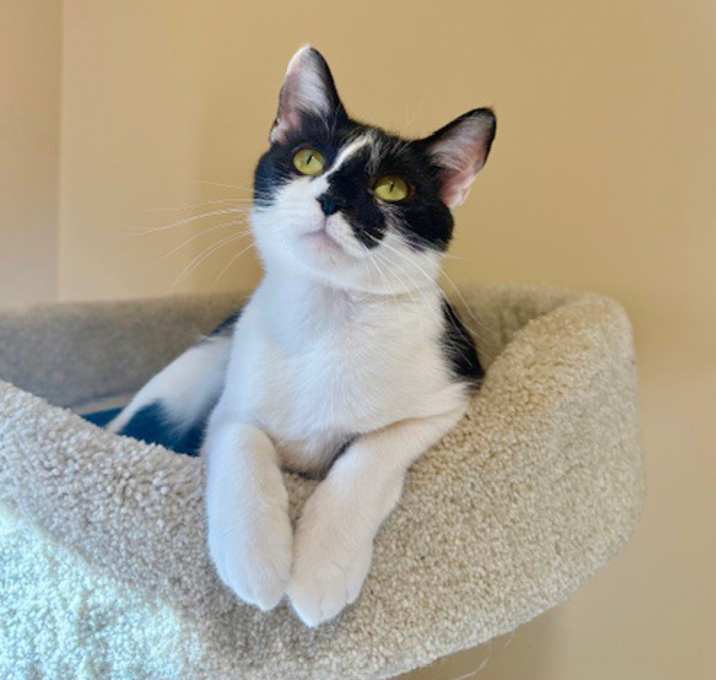 Photo of Maggie
