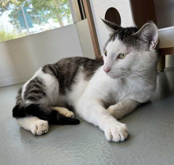Photo of ZIGGY