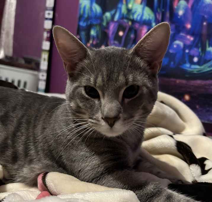 Photo of Michi