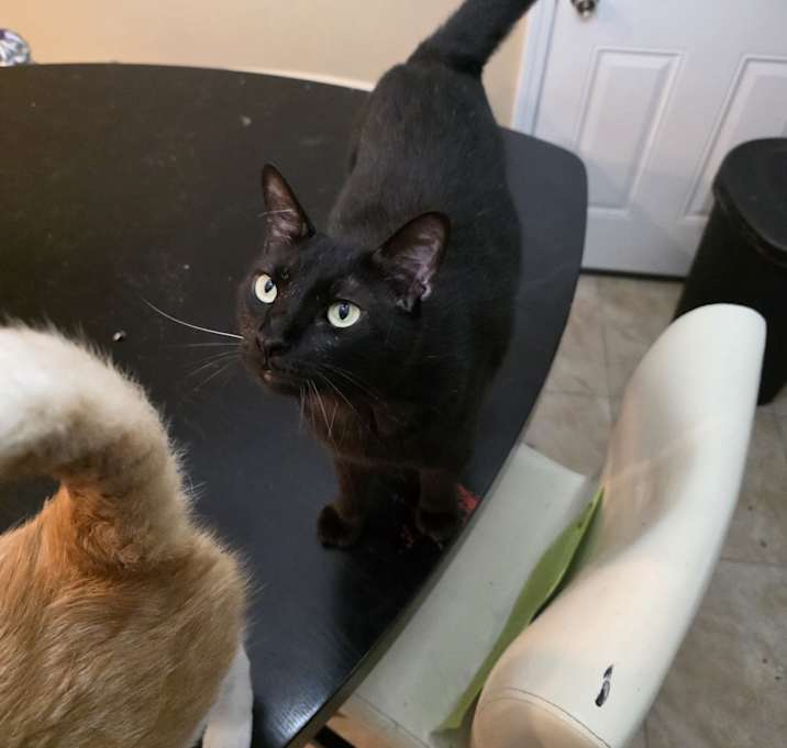 Photo of Salem