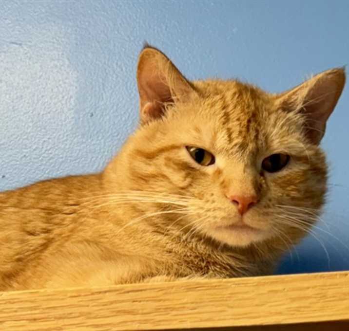Photo of QUI-GON